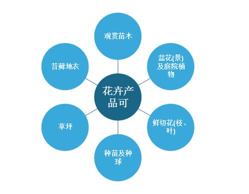 2022年中國花卉種植行業(yè)分析報(bào)告 行業(yè)發(fā)展格局與投資潛力評估